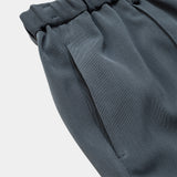Euro Work Cargo Slacks(BLUE GRAY)/MW-PT26206